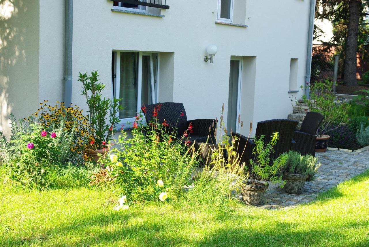 Neu Eingerichtetes Apartment #1 Mit Wlan !Sauna & Hot Tub Zubuchbar! Senftenberg Exterior photo